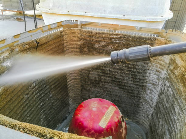 Best Professional Duct Cleaning Services  in Forest Heights, TX