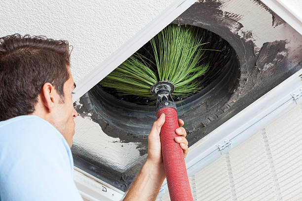 Best Air Duct Cleaning Near Me  in Forest Heights, TX